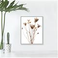 Picture of Dried Flower III  _GroupedProduct_Rectangle_Portrait_Photography _GroupedProduct_Rectangle_Portrait_Canvas_Framed_