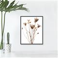 Picture of Dried Flower III  _GroupedProduct_Rectangle_Portrait_Photography _GroupedProduct_Rectangle_Portrait_Canvas_Framed_