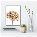Picture of Dried Hydrangea _GroupedProduct_Rectangle_Portrait_Photography _GroupedProduct_Rectangle_Portrait_Canvas_Framed_