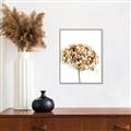 Picture of Dried Hydrangea _GroupedProduct_Rectangle_Portrait_Photography _GroupedProduct_Rectangle_Portrait_Canvas_Framed_