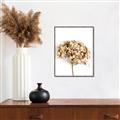 Picture of Dried Hydrangea _GroupedProduct_Rectangle_Portrait_Photography _GroupedProduct_Rectangle_Portrait_Canvas_Framed_