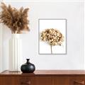 Picture of Dried Hydrangea _GroupedProduct_Rectangle_Portrait_Photography _GroupedProduct_Rectangle_Portrait_Canvas_Framed_