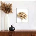 Picture of Dried Hydrangea _GroupedProduct_Rectangle_Portrait_Photography _GroupedProduct_Rectangle_Portrait_Canvas_Framed_