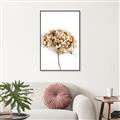Picture of Dried Hydrangea _GroupedProduct_Rectangle_Portrait_Photography _GroupedProduct_Rectangle_Portrait_Canvas_Framed_