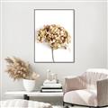 Picture of Dried Hydrangea _GroupedProduct_Rectangle_Portrait_Photography _GroupedProduct_Rectangle_Portrait_Canvas_Framed_