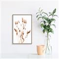 Picture of Dried Lilies  _GroupedProduct_Rectangle_Portrait_Photography _GroupedProduct_Rectangle_Portrait_Canvas_Framed_