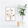 Picture of Dried Lilies  _GroupedProduct_Rectangle_Portrait_Photography _GroupedProduct_Rectangle_Portrait_Canvas_Framed_