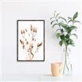 Picture of Dried Lilies  _GroupedProduct_Rectangle_Portrait_Photography _GroupedProduct_Rectangle_Portrait_Canvas_Framed_