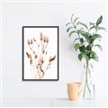 Picture of Dried Lilies  _GroupedProduct_Rectangle_Portrait_Photography _GroupedProduct_Rectangle_Portrait_Canvas_Framed_