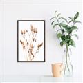 Picture of Dried Lilies  _GroupedProduct_Rectangle_Portrait_Photography _GroupedProduct_Rectangle_Portrait_Canvas_Framed_