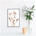 Picture of Dried Lilies  _GroupedProduct_Rectangle_Portrait_Photography _GroupedProduct_Rectangle_Portrait_Canvas_Framed_