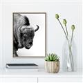 Picture of Buffalo Bill _GroupedProduct_Rectangle_Portrait_Photography _GroupedProduct_Rectangle_Portrait_Canvas_Framed_
