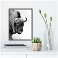 Picture of Buffalo Bill _GroupedProduct_Rectangle_Portrait_Photography _GroupedProduct_Rectangle_Portrait_Canvas_Framed_