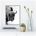 Picture of Buffalo Bill _GroupedProduct_Rectangle_Portrait_Photography _GroupedProduct_Rectangle_Portrait_Canvas_Framed_