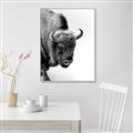 Picture of Buffalo Bill _GroupedProduct_Rectangle_Portrait_Photography _GroupedProduct_Rectangle_Portrait_Canvas_Framed_