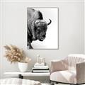 Picture of Buffalo Bill _GroupedProduct_Rectangle_Portrait_Photography _GroupedProduct_Rectangle_Portrait_Canvas_Framed_