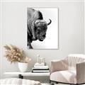 Picture of Buffalo Bill _GroupedProduct_Rectangle_Portrait_Photography _GroupedProduct_Rectangle_Portrait_Canvas_Framed_