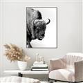Picture of Buffalo Bill _GroupedProduct_Rectangle_Portrait_Photography _GroupedProduct_Rectangle_Portrait_Canvas_Framed_