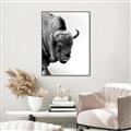 Picture of Buffalo Bill _GroupedProduct_Rectangle_Portrait_Photography _GroupedProduct_Rectangle_Portrait_Canvas_Framed_