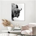Picture of Buffalo Bill _GroupedProduct_Rectangle_Portrait_Photography _GroupedProduct_Rectangle_Portrait_Canvas_Framed_