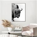 Picture of Buffalo Bill _GroupedProduct_Rectangle_Portrait_Photography _GroupedProduct_Rectangle_Portrait_Canvas_Framed_