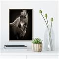 Picture of Ebony, the Horse _GroupedProduct_Rectangle_Portrait_Photography _GroupedProduct_Rectangle_Portrait_Canvas_Framed_