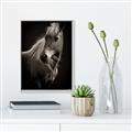 Picture of Ebony, the Horse _GroupedProduct_Rectangle_Portrait_Photography _GroupedProduct_Rectangle_Portrait_Canvas_Framed_