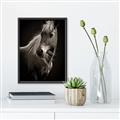Picture of Ebony, the Horse _GroupedProduct_Rectangle_Portrait_Photography _GroupedProduct_Rectangle_Portrait_Canvas_Framed_
