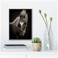 Picture of Ebony, the Horse _GroupedProduct_Rectangle_Portrait_Photography _GroupedProduct_Rectangle_Portrait_Canvas_Framed_