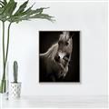 Picture of Ebony, the Horse _GroupedProduct_Rectangle_Portrait_Photography _GroupedProduct_Rectangle_Portrait_Canvas_Framed_