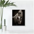 Picture of Ebony, the Horse _GroupedProduct_Rectangle_Portrait_Photography _GroupedProduct_Rectangle_Portrait_Canvas_Framed_