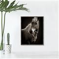 Picture of Ebony, the Horse _GroupedProduct_Rectangle_Portrait_Photography _GroupedProduct_Rectangle_Portrait_Canvas_Framed_