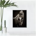 Picture of Ebony, the Horse _GroupedProduct_Rectangle_Portrait_Photography _GroupedProduct_Rectangle_Portrait_Canvas_Framed_