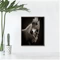 Picture of Ebony, the Horse _GroupedProduct_Rectangle_Portrait_Photography _GroupedProduct_Rectangle_Portrait_Canvas_Framed_