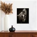 Picture of Ebony, the Horse _GroupedProduct_Rectangle_Portrait_Photography _GroupedProduct_Rectangle_Portrait_Canvas_Framed_
