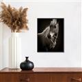 Picture of Ebony, the Horse _GroupedProduct_Rectangle_Portrait_Photography _GroupedProduct_Rectangle_Portrait_Canvas_Framed_