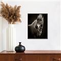 Picture of Ebony, the Horse _GroupedProduct_Rectangle_Portrait_Photography _GroupedProduct_Rectangle_Portrait_Canvas_Framed_