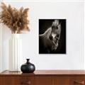 Picture of Ebony, the Horse _GroupedProduct_Rectangle_Portrait_Photography _GroupedProduct_Rectangle_Portrait_Canvas_Framed_