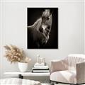 Picture of Ebony, the Horse _GroupedProduct_Rectangle_Portrait_Photography _GroupedProduct_Rectangle_Portrait_Canvas_Framed_