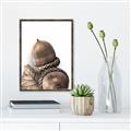 Picture of Fallen Acorns _GroupedProduct_Rectangle_Portrait_Photography _GroupedProduct_Rectangle_Portrait_Canvas_Framed_
