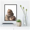 Picture of Fallen Acorns _GroupedProduct_Rectangle_Portrait_Photography _GroupedProduct_Rectangle_Portrait_Canvas_Framed_