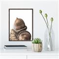 Picture of Fallen Acorns _GroupedProduct_Rectangle_Portrait_Photography _GroupedProduct_Rectangle_Portrait_Canvas_Framed_