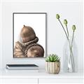 Picture of Fallen Acorns _GroupedProduct_Rectangle_Portrait_Photography _GroupedProduct_Rectangle_Portrait_Canvas_Framed_