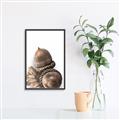 Picture of Fallen Acorns _GroupedProduct_Rectangle_Portrait_Photography _GroupedProduct_Rectangle_Portrait_Canvas_Framed_