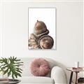 Picture of Fallen Acorns _GroupedProduct_Rectangle_Portrait_Photography _GroupedProduct_Rectangle_Portrait_Canvas_Framed_