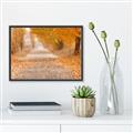 Picture of Falling Leaves  _GroupedProduct_Rectangle_Landscape_Photography _GroupedProduct_Rectangle_Landscape_Canvas_Framed_