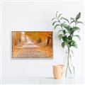 Picture of Falling Leaves  _GroupedProduct_Rectangle_Landscape_Photography _GroupedProduct_Rectangle_Landscape_Canvas_Framed_