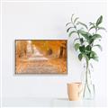 Picture of Falling Leaves  _GroupedProduct_Rectangle_Landscape_Photography _GroupedProduct_Rectangle_Landscape_Canvas_Framed_