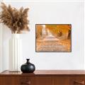 Picture of Falling Leaves  _GroupedProduct_Rectangle_Landscape_Photography _GroupedProduct_Rectangle_Landscape_Canvas_Framed_