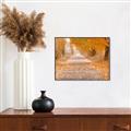 Picture of Falling Leaves  _GroupedProduct_Rectangle_Landscape_Photography _GroupedProduct_Rectangle_Landscape_Canvas_Framed_
